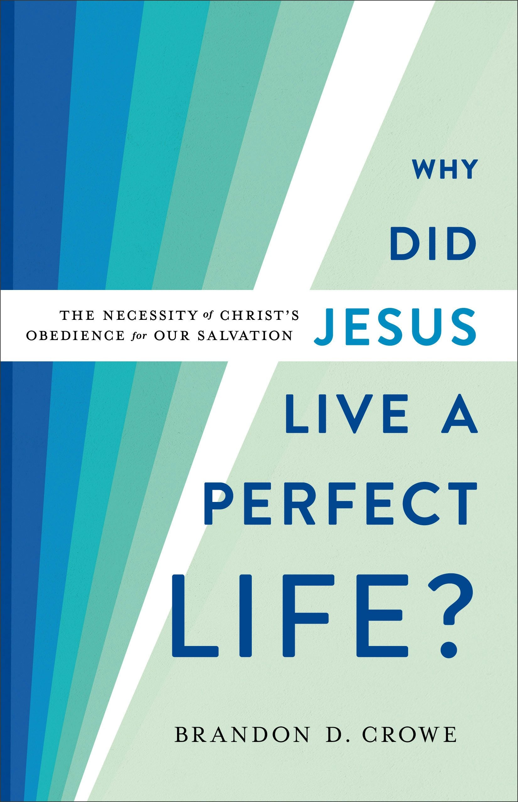 Cover image for Why Did Jesus Live a Perfect Life?, isbn: 9781540962508