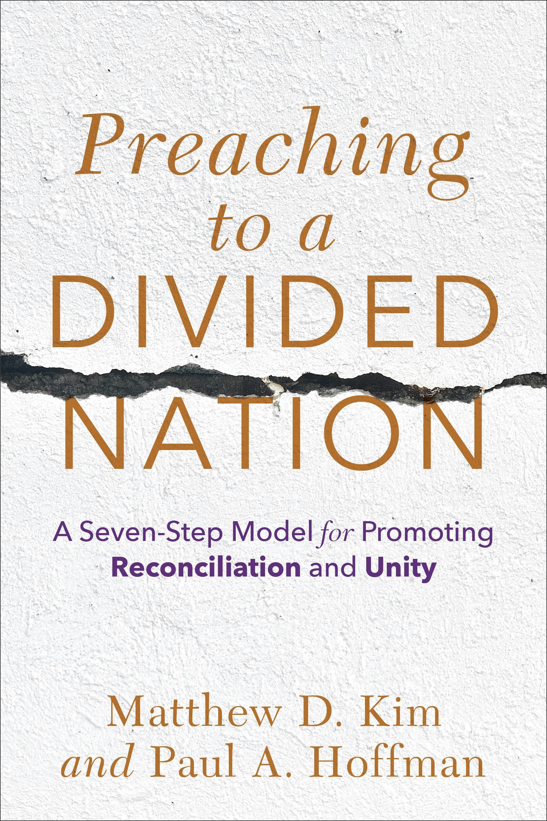 Cover image for Preaching to a Divided Nation, isbn: 9781540964748