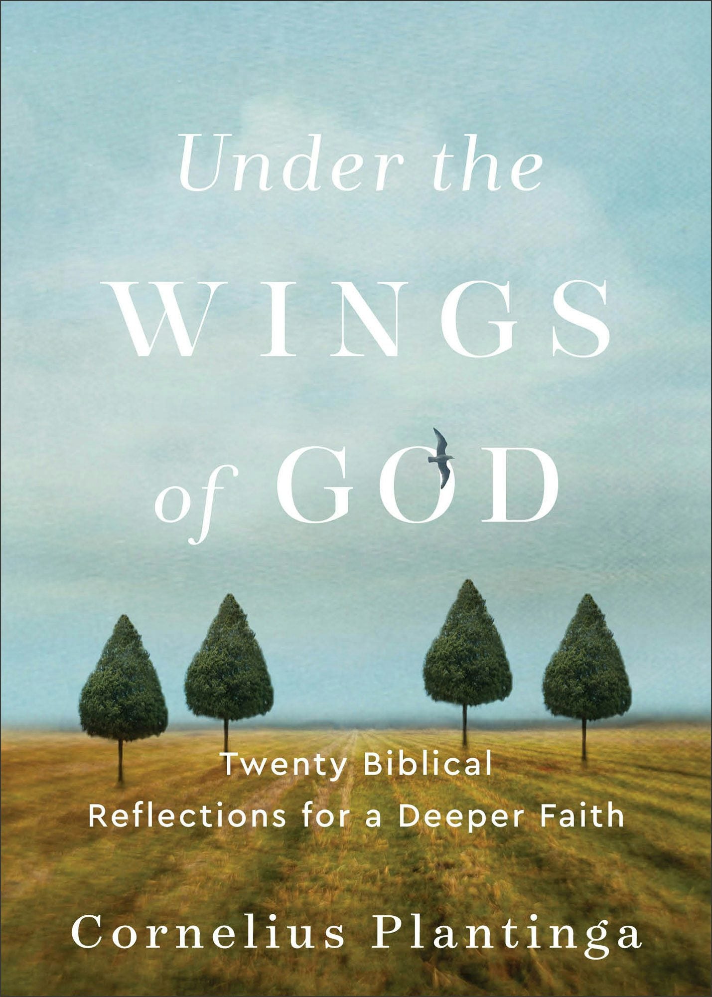 Cover image for Under the Wings of God, isbn: 9781540966179