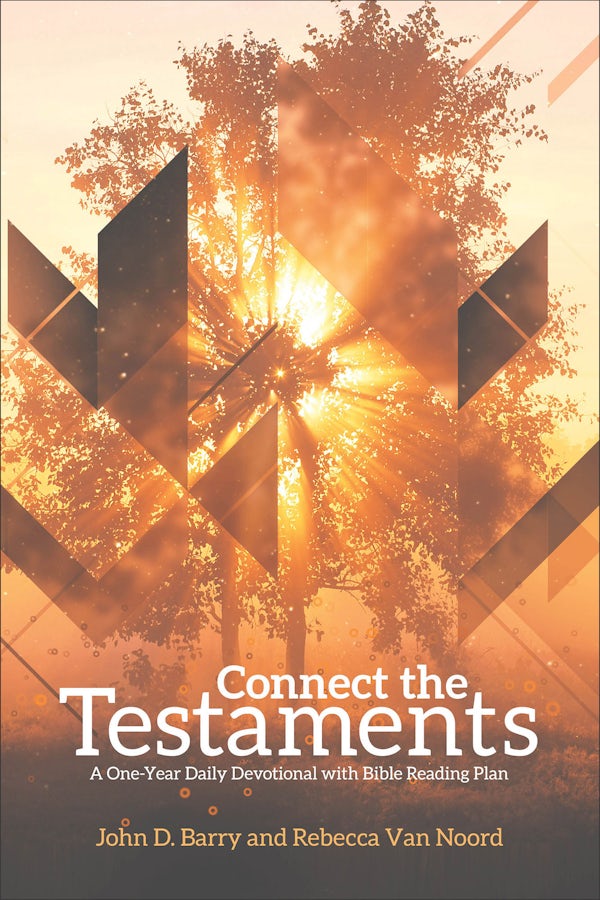 Cover image for Connect the Testaments, isbn: 9781577995821