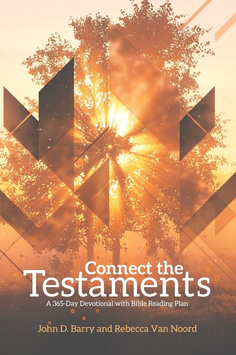 Cover image for Connect the Testaments, isbn: 9781577995821