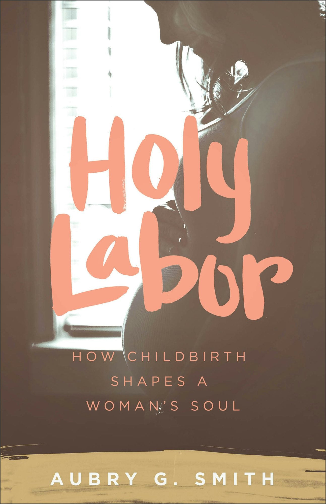 Cover image for Holy Labor, isbn: 9781577997382