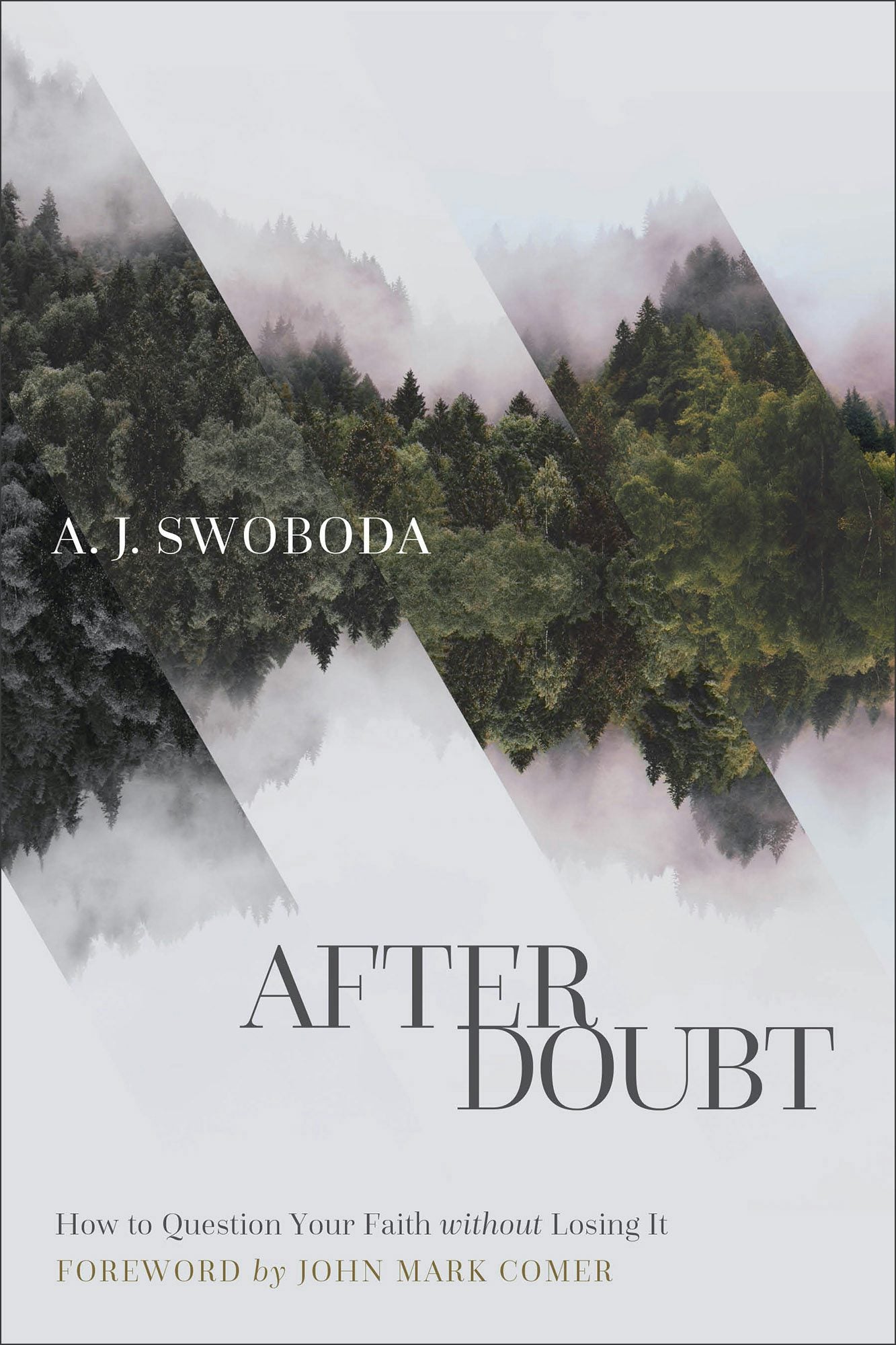 Cover image for After Doubt, isbn: 9781587434518