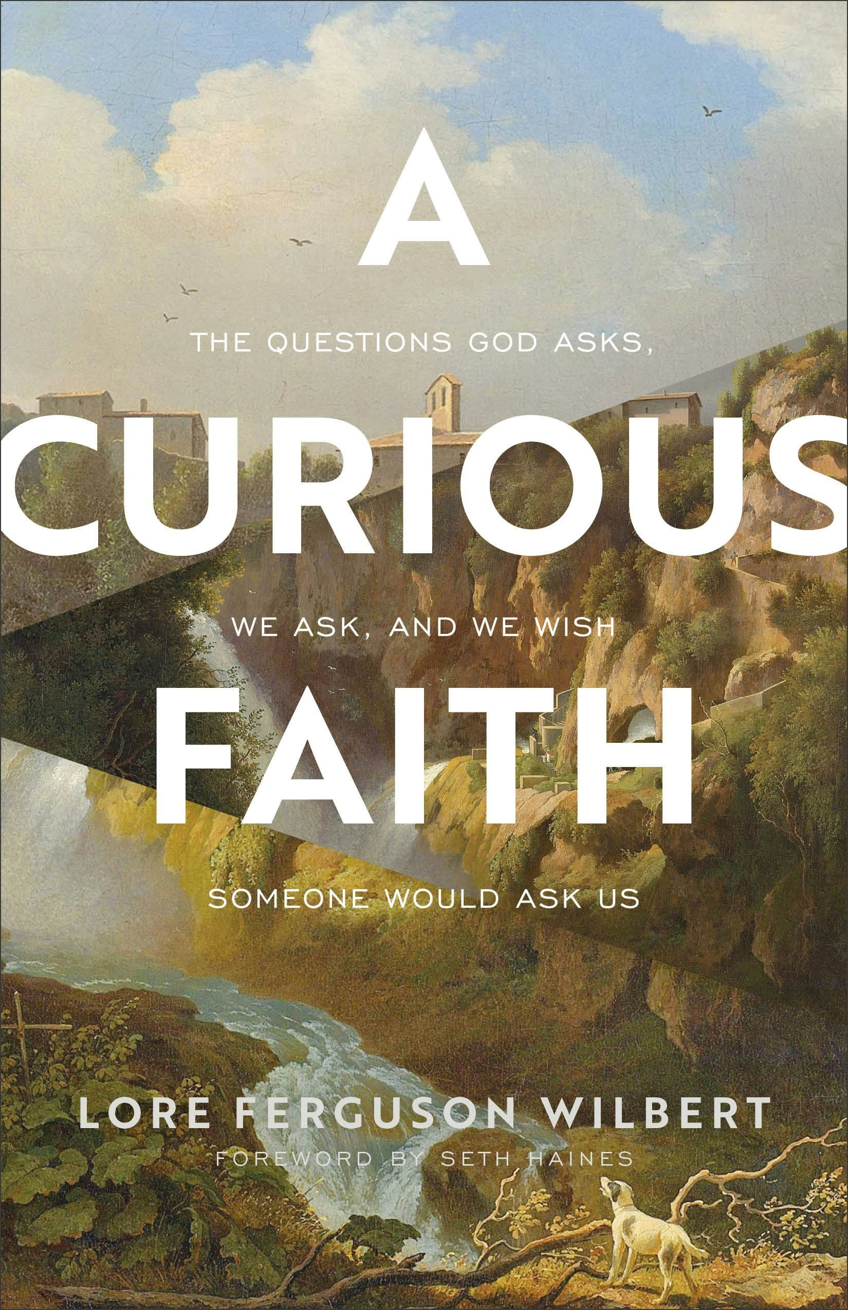 Cover image for A Curious Faith, isbn: 9781587435690