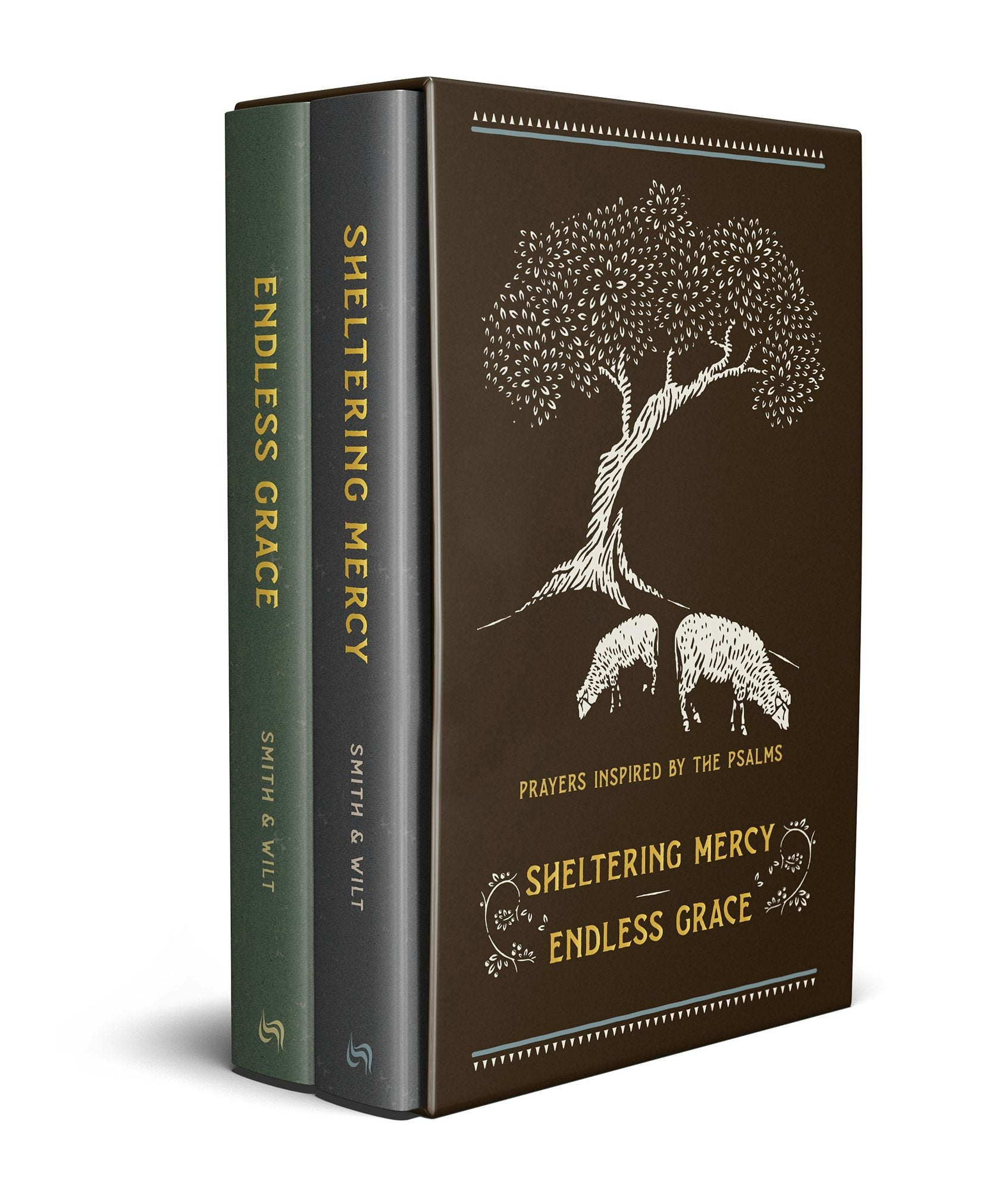 Cover image for Prayers Inspired by the Psalms Boxed Set, isbn: 9781587436130
