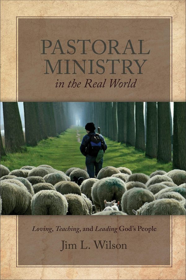 Cover image for Pastoral Ministry in the Real World, isbn: 9781683592129