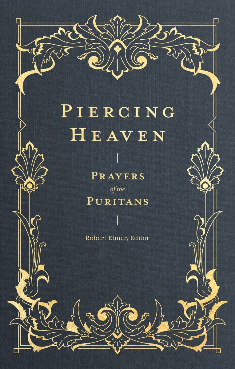 Cover image for Piercing Heaven, isbn: 9781683593348