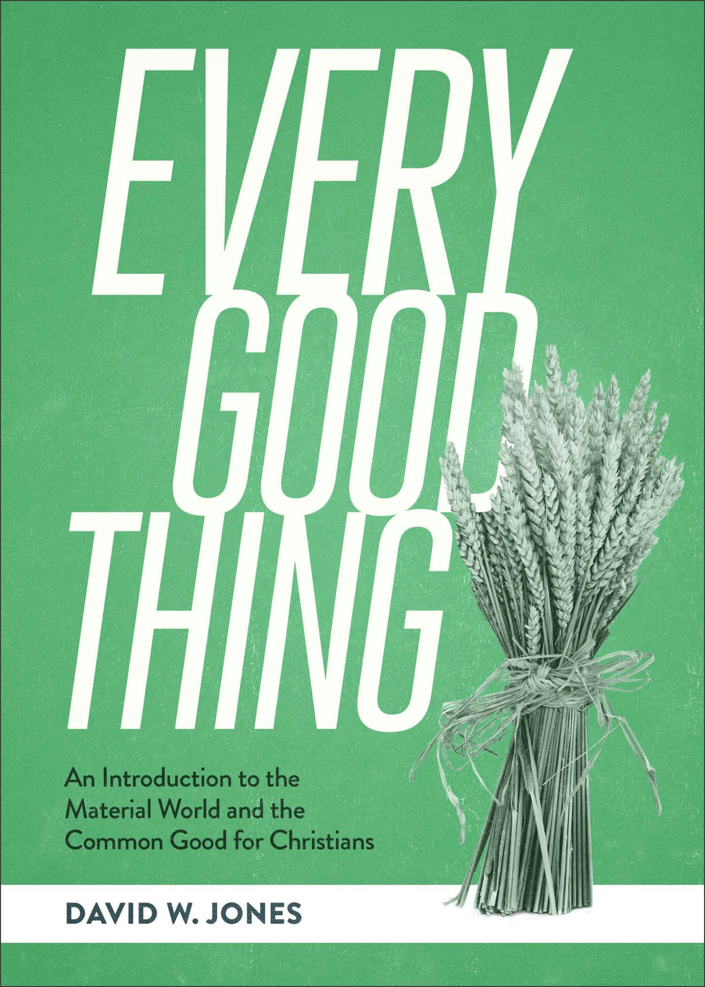 Cover image for Every Good Thing, isbn: 9781683598633